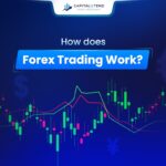 How Does the Forex Market Work?