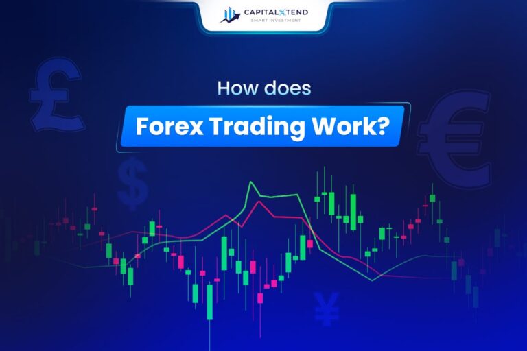 How Does the Forex Market Work?