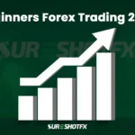 Beginner’s Guide to Forex Trading