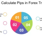 How to Calculate Pips in Forex and Money Management