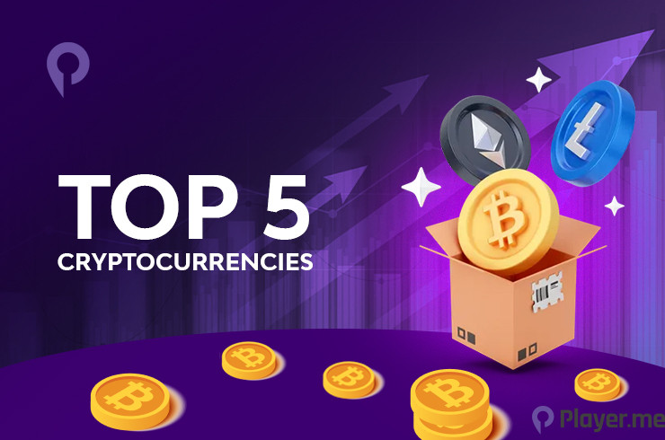 Top 5 Cryptocurrencies for New Investors